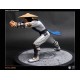 Mortal Kombat 9 Statue Raiden 28 cm